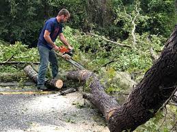 Best Leaf Removal  in Swepsonville, NC